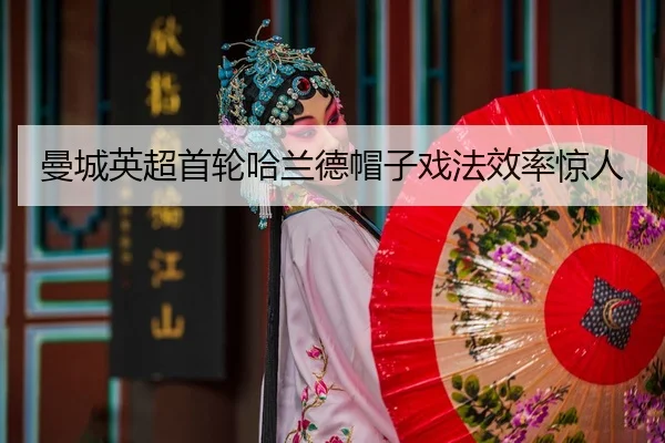 man-cheng-ying-chao-shou-lun-ha-lan-de-mao-zi-xi-fa-xiao-lv-jing-ren-3-562.jpg